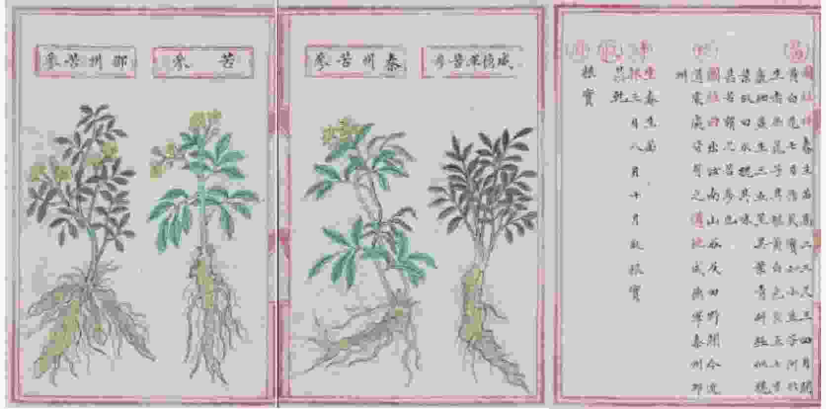 19-15-liuzimo-4_mini.jpg 19-15-liuzimo-4_mini.jpg